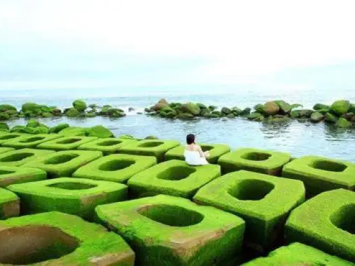 Sài Gòn => Phú Yên